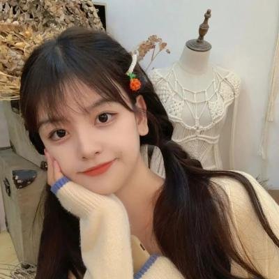 最后的莫希干人